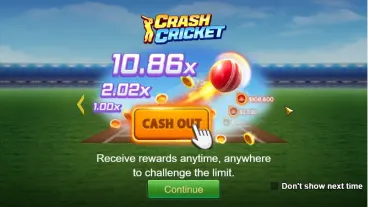 Crash Cricket